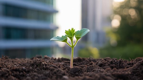 Crypto 101 | Hedge Fund Summit 