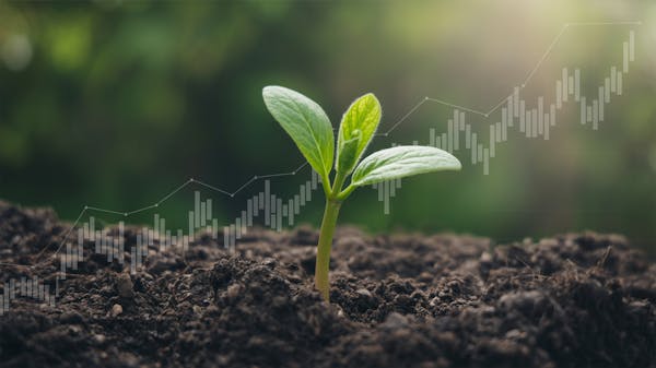 CAJ Research | New Pick 