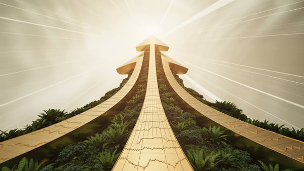 Traders Agency | Holy Trinity 