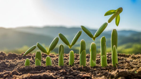 Weiss | RPL Investment Secret - AGENCY