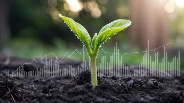 Beyond Finance | Accredited Debt Relief MEDIA