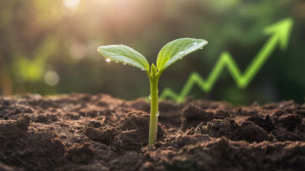 American Hartford Gold | Trump Gold Reset EMAIL