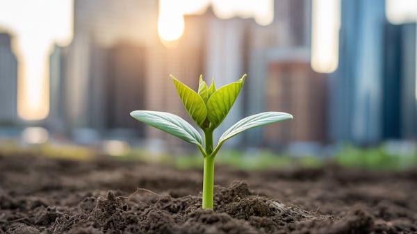 Bull Markets Media | ShareDeals Google