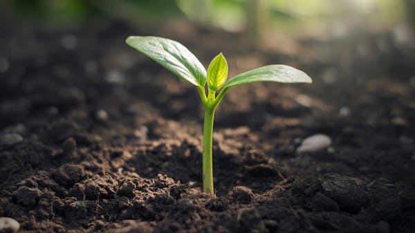 Stansberry | CPGR Hidden AI SMS