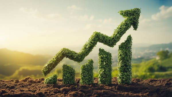 Millionaire Publishing | STA AI Tollbooth