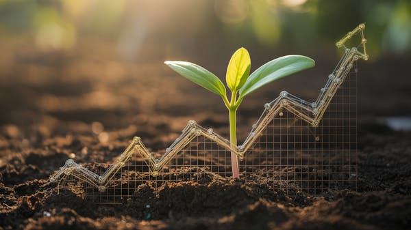 Weiss | WSC Golden Paradox 