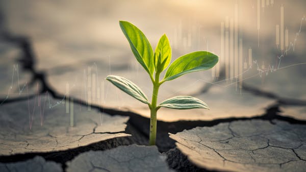 OnPoint Global | Resource Assistance (Email)