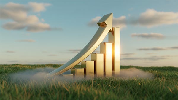 Millionaire Publishing | STA - Eternal Energy